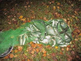 Нажмите на изображение для увеличения.

Название:	IMG_0576.JPG
Просмотров:	163
Размер:	587.8 Кб
ID:	4540752