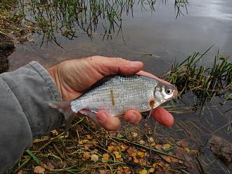 Нажмите на изображение для увеличения.

Название:	IMG_0570.JPG
Просмотров:	151
Размер:	481.9 Кб
ID:	4540754