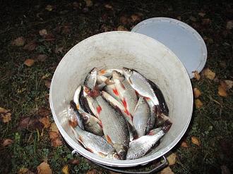 Нажмите на изображение для увеличения.

Название:	IMG_0577.JPG
Просмотров:	158
Размер:	502.5 Кб
ID:	4540755