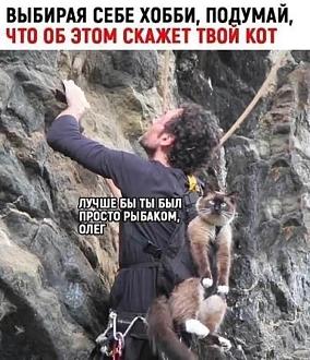 Нажмите на изображение для увеличения.

Название:	memy3.jpg
Просмотров:	41
Размер:	127.5 Кб
ID:	4540840