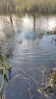 Нажмите на изображение для увеличения.  Название:	IMG_20251103_213833.jpg Просмотров:	3 Размер:	508.4 Кб ID:	4540846