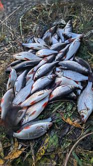 Нажмите на изображение для увеличения.  Название:	GCAM_20251101_180832_lmc_8.4.jpg Просмотров:	3 Размер:	371.3 Кб ID:	4540849