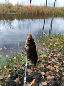 Нажмите на изображение для увеличения.  Название:	IMG_20251102_141833.jpg Просмотров:	0 Размер:	271.2 Кб ID:	4540857