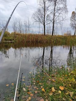 Нажмите на изображение для увеличения.  Название:	IMG_20251102_150856.jpg Просмотров:	0 Размер:	634.0 Кб ID:	4540861