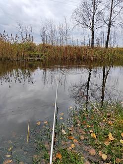Нажмите на изображение для увеличения.  Название:	IMG_20251102_150904.jpg Просмотров:	0 Размер:	624.9 Кб ID:	4540862