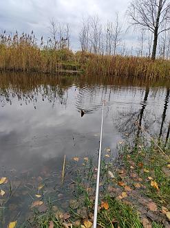 Нажмите на изображение для увеличения.  Название:	IMG_20251102_150907.jpg Просмотров:	0 Размер:	623.3 Кб ID:	4540863