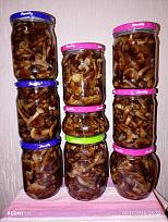 Нажмите на изображение для увеличения.  Название:	IMG_20251102_233914.jpg Просмотров:	0 Размер:	429.6 Кб ID:	4540872