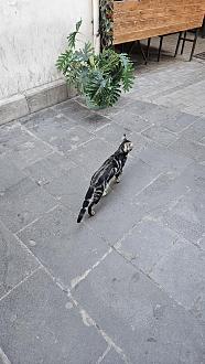 Нажмите на изображение для увеличения.

Название:	20251101_151234.jpg
Просмотров:	16
Размер:	524.8 Кб
ID:	4540887