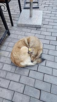 Нажмите на изображение для увеличения.

Название:	20251101_152253.jpg
Просмотров:	16
Размер:	596.2 Кб
ID:	4540888