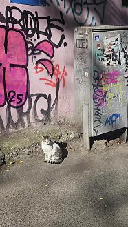 Нажмите на изображение для увеличения.

Название:	20251101_140546.jpg
Просмотров:	18
Размер:	610.3 Кб
ID:	4540889