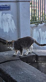 Нажмите на изображение для увеличения.

Название:	20251101_140309.jpg
Просмотров:	17
Размер:	569.4 Кб
ID:	4540890