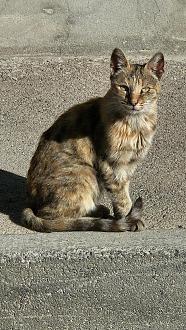 Нажмите на изображение для увеличения.

Название:	20251101_143342.jpg
Просмотров:	15
Размер:	589.9 Кб
ID:	4540891