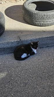 Нажмите на изображение для увеличения.

Название:	20251101_143357.jpg
Просмотров:	16
Размер:	626.1 Кб
ID:	4540893