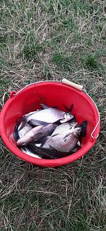 Нажмите на изображение для увеличения.

Название:	Общий улов.jpg
Просмотров:	222
Размер:	436.7 Кб
ID:	4540923