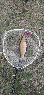 Нажмите на изображение для увеличения.

Название:	Линь 1.jpg
Просмотров:	220
Размер:	588.3 Кб
ID:	4540925