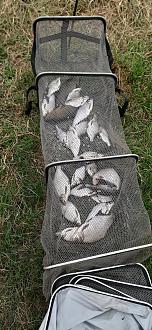 Нажмите на изображение для увеличения.

Название:	Садок.jpg
Просмотров:	219
Размер:	529.4 Кб
ID:	4540926