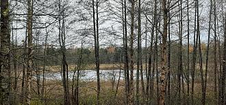 Нажмите на изображение для увеличения.

Название:	Озеро.jpg
Просмотров:	220
Размер:	609.8 Кб
ID:	4540930