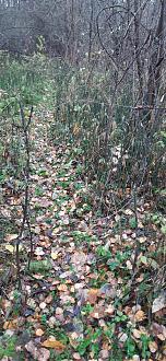 Нажмите на изображение для увеличения.

Название:	Петли.jpg
Просмотров:	270
Размер:	577.4 Кб
ID:	4540934