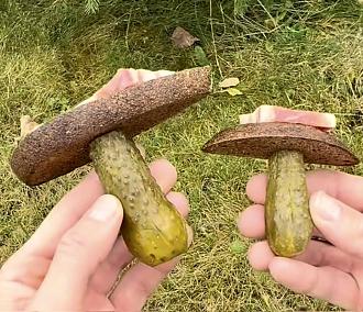 Нажмите на изображение для увеличения.

Название:	573577501_3149537908556975_2522261693777221828_n.jpg
Просмотров:	27
Размер:	236.4 Кб
ID:	4541059