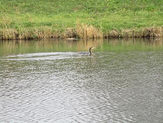 Нажмите на изображение для увеличения.

Название:	IMG_0582.JPG
Просмотров:	509
Размер:	400.9 Кб
ID:	4541062