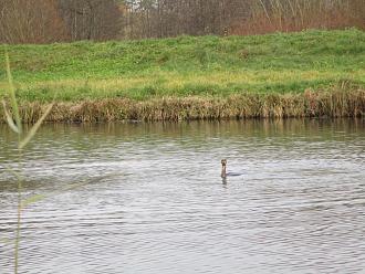 Нажмите на изображение для увеличения.

Название:	IMG_0587.JPG
Просмотров:	502
Размер:	439.1 Кб
ID:	4541063