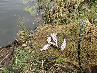 Нажмите на изображение для увеличения.

Название:	IMG_0589.JPG
Просмотров:	519
Размер:	679.5 Кб
ID:	4541064