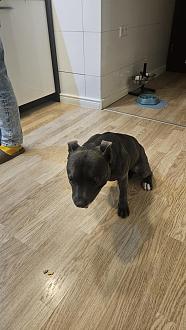 Нажмите на изображение для увеличения.

Название:	20251106_184550.jpg
Просмотров:	32
Размер:	357.1 Кб
ID:	4541107