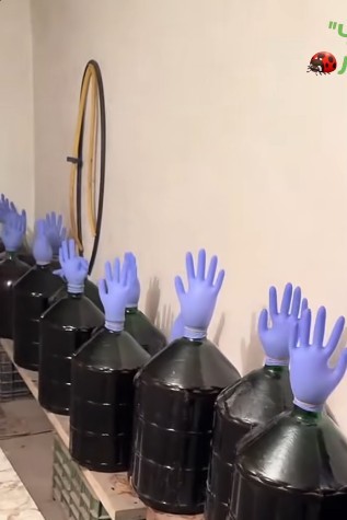 Нажмите на изображение для увеличения.  Название:	Скриншот 07-11-2025 093107.jpg Просмотров:	4 Размер:	26.8 Кб ID:	4541138