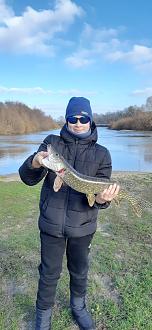 Нажмите на изображение для увеличения.

Название:	20251107_131625.jpg
Просмотров:	81
Размер:	321.6 Кб
ID:	4541172