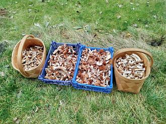 Нажмите на изображение для увеличения.  Название:	IMG_20251107_153138.jpg Просмотров:	0 Размер:	694.5 Кб ID:	4541190