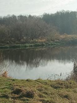 Нажмите на изображение для увеличения.  Название:	IMG_20251107_104550_925.jpg Просмотров:	0 Размер:	421.5 Кб ID:	4541210