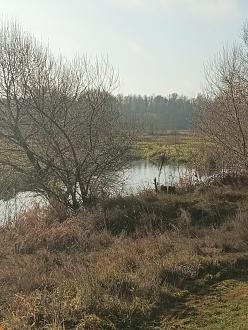 Нажмите на изображение для увеличения.  Название:	IMG_20251107_104556_181.jpg Просмотров:	0 Размер:	534.9 Кб ID:	4541211