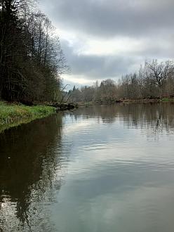 Нажмите на изображение для увеличения.  Название:	IMG_20251107_124103_703.jpg Просмотров:	0 Размер:	355.8 Кб ID:	4541212