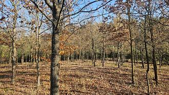 Нажмите на изображение для увеличения.

Название:	20251107_094159.jpg
Просмотров:	28
Размер:	661.9 Кб
ID:	4541237