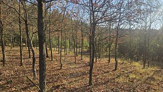 Нажмите на изображение для увеличения.

Название:	20251107_094204.jpg
Просмотров:	28
Размер:	683.3 Кб
ID:	4541239