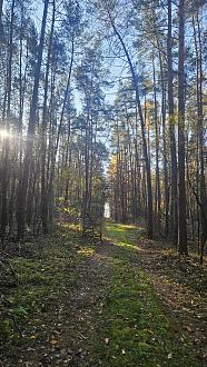 Нажмите на изображение для увеличения.

Название:	20251107_091153.jpg
Просмотров:	28
Размер:	642.4 Кб
ID:	4541240