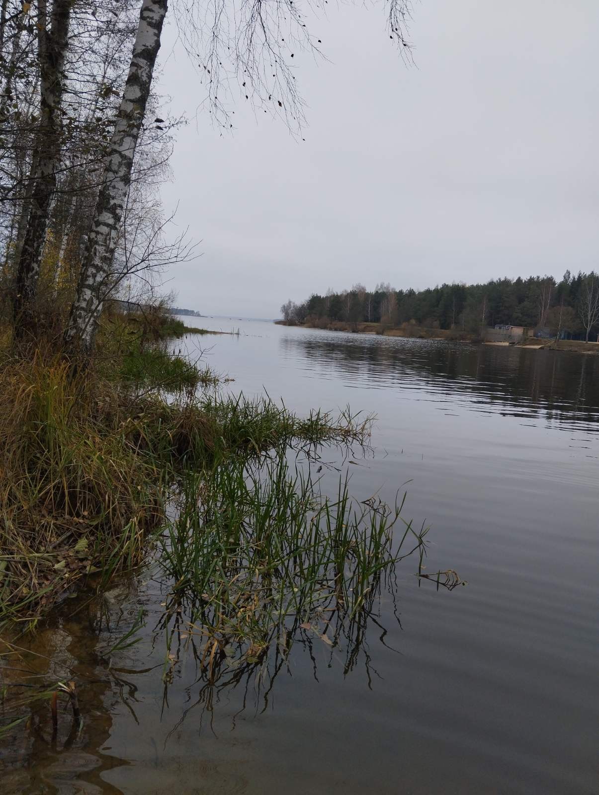 Нажмите на изображение для увеличения.  Название:	изображение_viber_2025-11-08_18-48-00-280.jpg Просмотров:	0 Размер:	377.2 Кб ID:	4541272