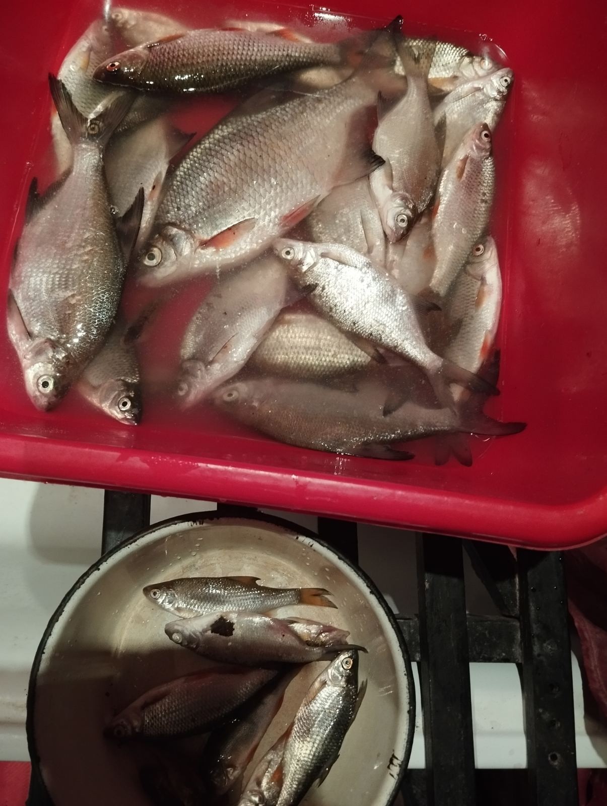 Нажмите на изображение для увеличения.

Название:	изображение_viber_2025-11-08_19-59-34-522.jpg
Просмотров:	121
Размер:	317.3 Кб
ID:	4541280