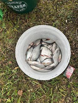 Нажмите на изображение для увеличения.

Название:	р.jpg
Просмотров:	575
Размер:	554.7 Кб
ID:	4541385