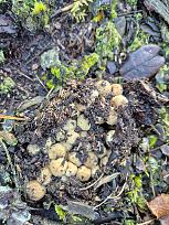 Нажмите на изображение для увеличения.  Название:	5.jpg Просмотров:	5 Размер:	600.3 Кб ID:	4541411