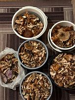 Нажмите на изображение для увеличения.  Название:	10.jpg Просмотров:	6 Размер:	418.1 Кб ID:	4541408