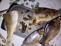 Нажмите на изображение для увеличения.

Название:	IMG_20251107_183118.jpg
Просмотров:	149
Размер:	585.9 Кб
ID:	4541419