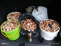 Нажмите на изображение для увеличения.

Название:	IMG_20251109_142408.jpg
Просмотров:	131
Размер:	540.1 Кб
ID:	4541420