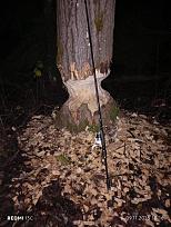 Нажмите на изображение для увеличения.

Название:	IMG_20251109_181633.jpg
Просмотров:	121
Размер:	419.2 Кб
ID:	4541422