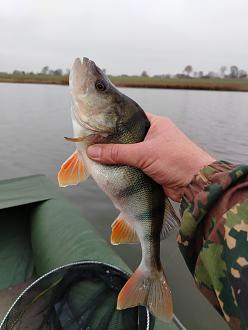 Нажмите на изображение для увеличения.  Название:	IMG_20251107_155012.jpg Просмотров:	0 Размер:	213.8 Кб ID:	4541444