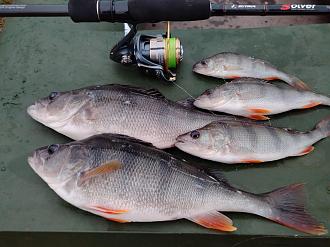 Нажмите на изображение для увеличения.  Название:	IMG_20251107_174321.jpg Просмотров:	0 Размер:	404.7 Кб ID:	4541445