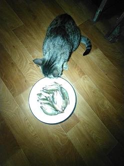 Нажмите на изображение для увеличения.

Название:	IMG_20251110_230357.jpg
Просмотров:	182
Размер:	293.7 Кб
ID:	4541462