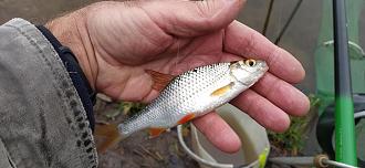 Нажмите на изображение для увеличения.

Название:	IMG_20251110_131325.jpg
Просмотров:	609
Размер:	460.7 Кб
ID:	4541465