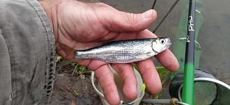 Нажмите на изображение для увеличения.

Название:	IMG_20251110_152259.jpg
Просмотров:	341
Размер:	428.5 Кб
ID:	4541466