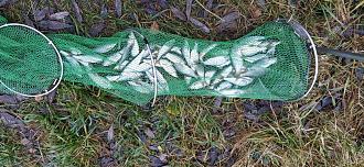 Нажмите на изображение для увеличения.

Название:	IMG_20251110_155833.jpg
Просмотров:	369
Размер:	597.0 Кб
ID:	4541467